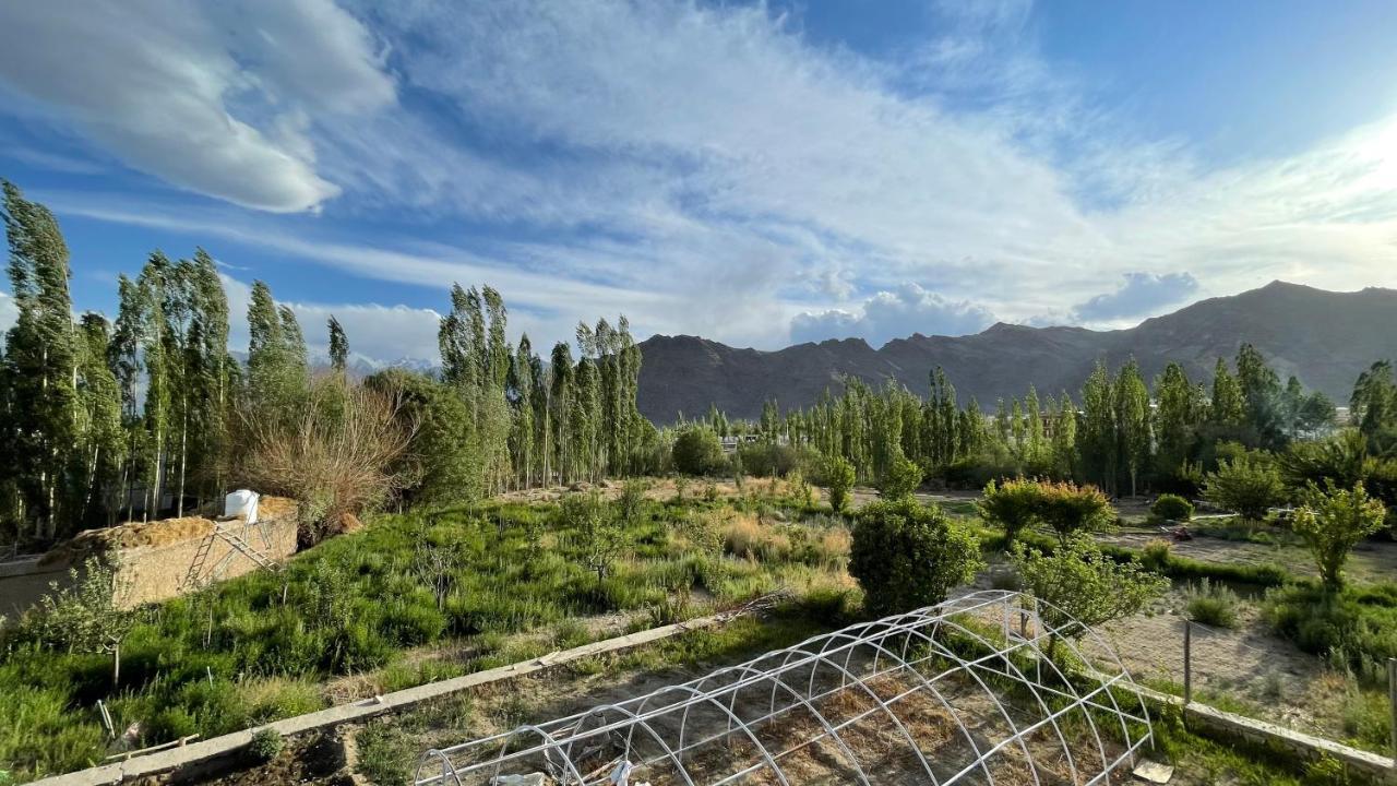 The Willow House Leh Exterior photo